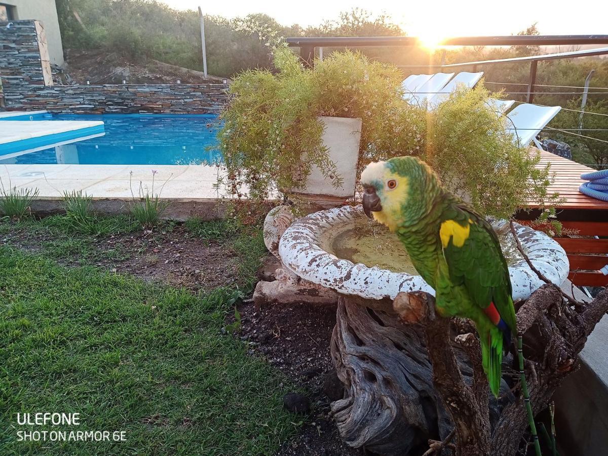 Miracampo Apartment San Antonio de Arredondo Exterior photo